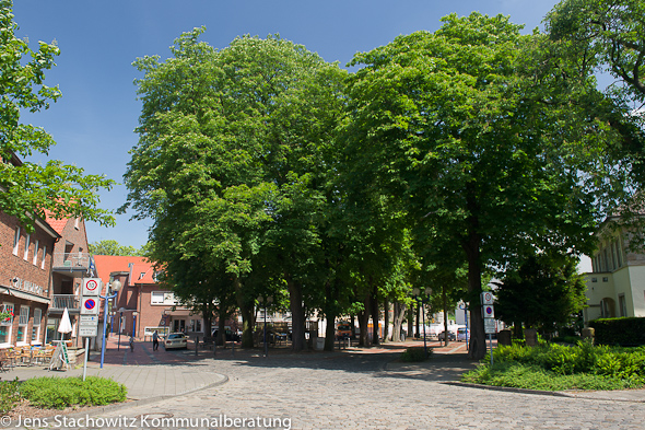 Baumbestand auf dem Niederort in Greven